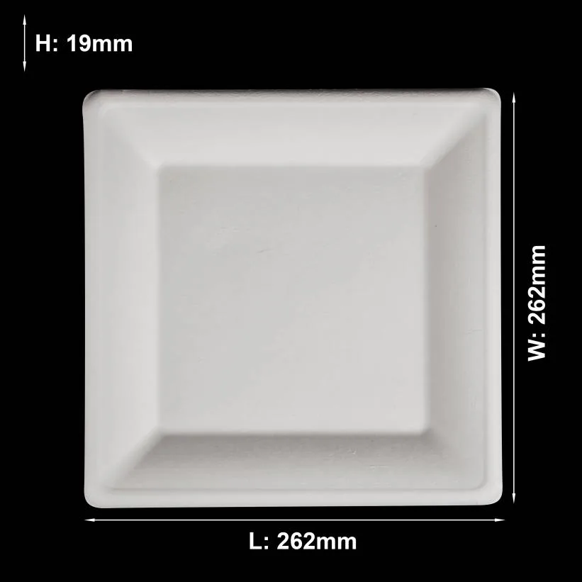 Große quadratische 10-Zoll-Essteller Bulk & Großhandel