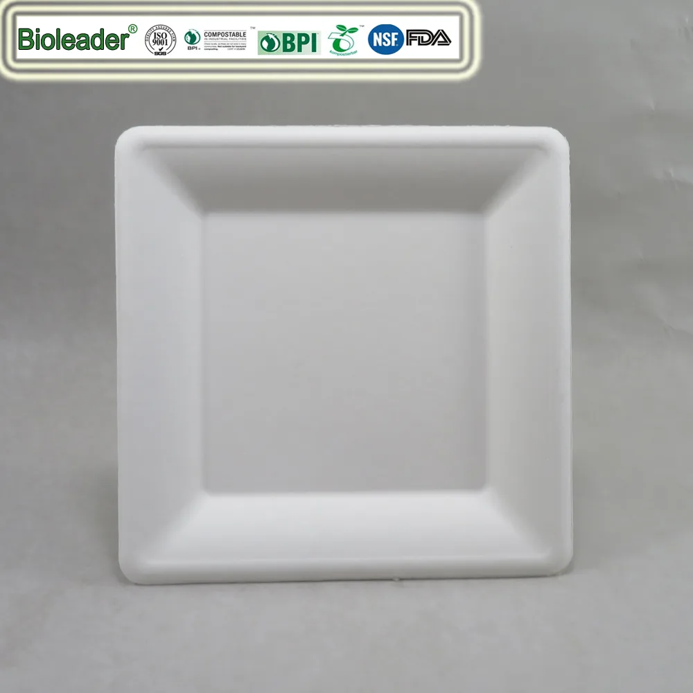 Große quadratische 10-Zoll-Speiseteller