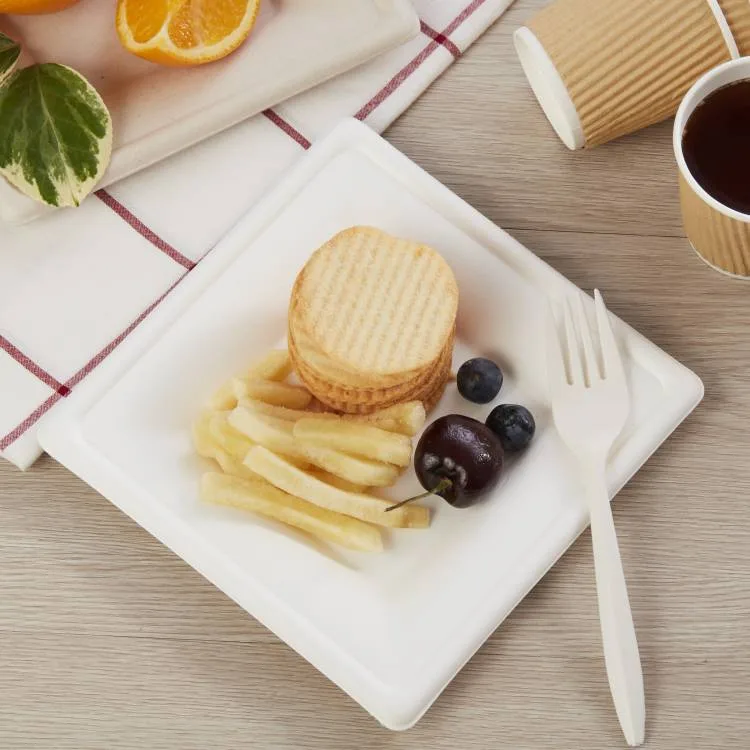 sugarcane bagasse oval paper plates