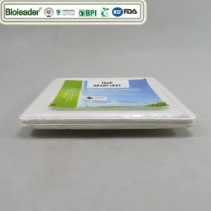 Assiettes carrées compostables à la canne à sucre 8 pouces