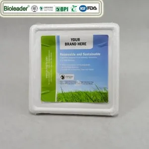Assiettes carrées compostables à la canne à sucre 8 pouces