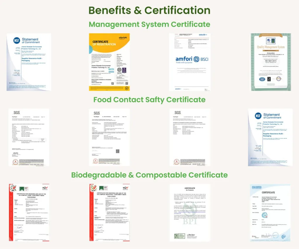 Bioleader Certificates of Sugarcane Bagasse Tray with Lid