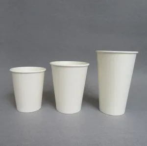 8/12/16/20 oz Compostable Hot Cups