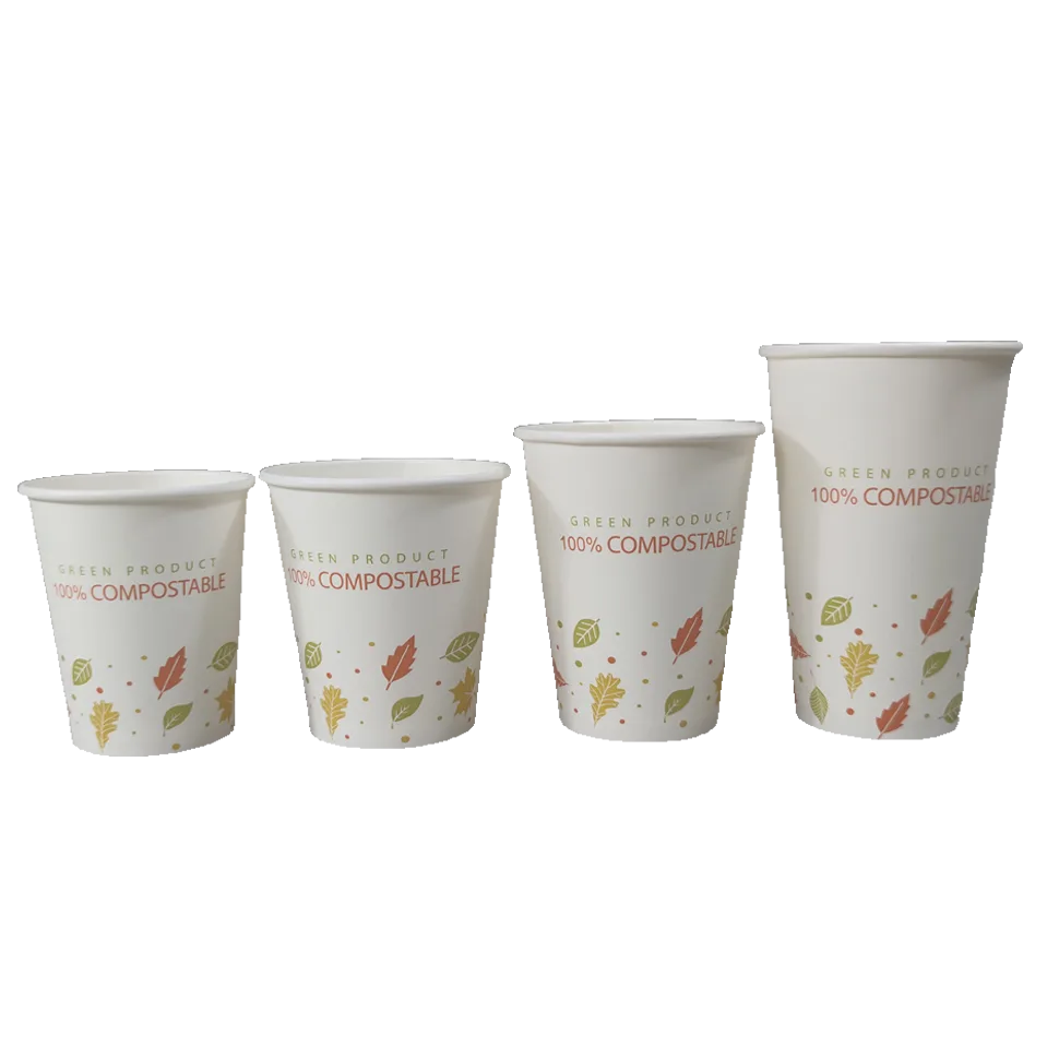 China Eco-friendly Biodegradable Food Packaging Supplier & Manufacturer