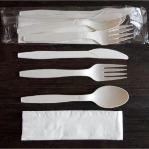 Cornstarch Cutlery Set