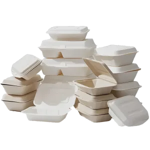 サトウキビバガスクラムシェル