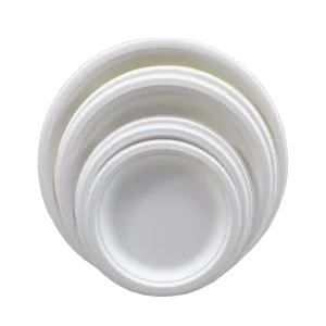 生分解性サトウキビプレート