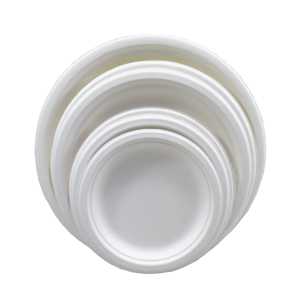 Biodegradable Sugarcane Plate