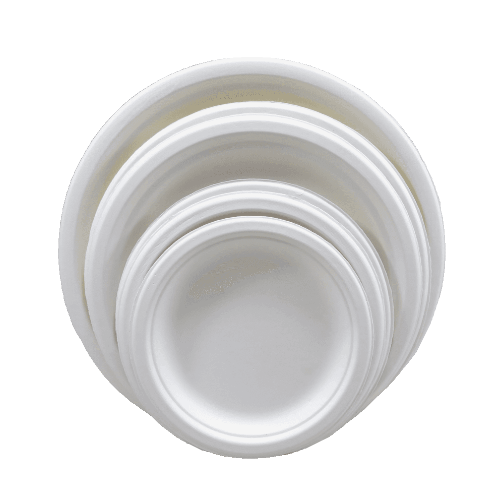 Biodegradable Tableware Food Container Packaging Bioleader Biodegradable Tableware Food Container Packaging Bioleader