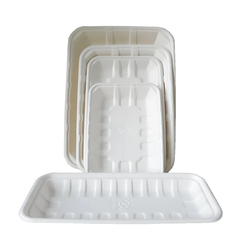 China Eco-friendly Biodegradable Food Packaging Supplier & Manufacturer