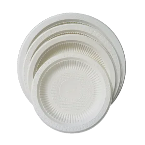 温かい料理と温かい夕食に最適な使い捨てプレート