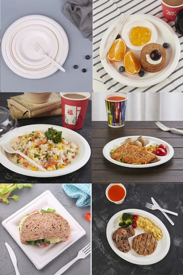 platos ecológicos de papel compostable