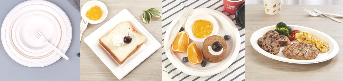 sugarcane bagasse plates manufacturer Compostable Paper Plates & Dinner Party Plates