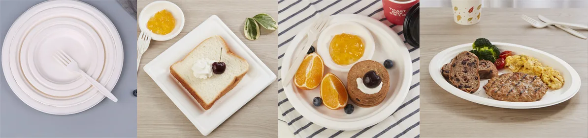 サトウキビ・バガス・プレート メーカー2