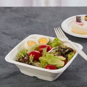 Saladiers compostables Square
