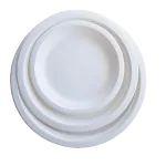 What Is Bagasse And Bagasse Used For what-is-bagasse-and-bagasse-used-for