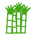 Sugarcane Bagasse Tableware