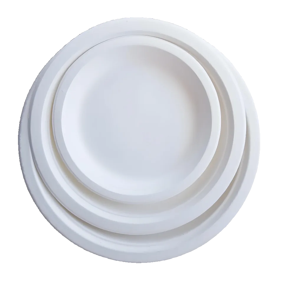 Plaat van suikerrietpulp