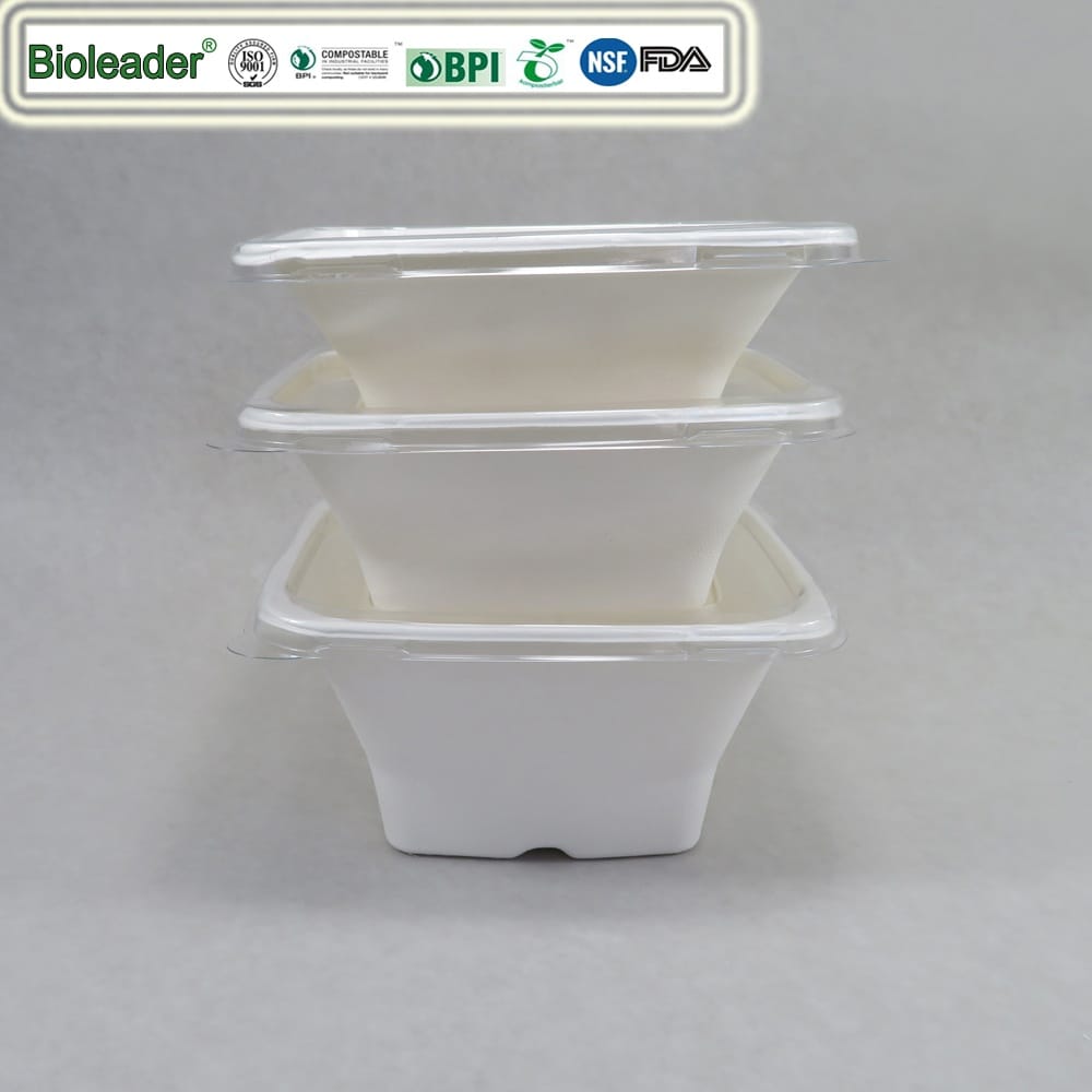 Insalatiere quadrate compostabili