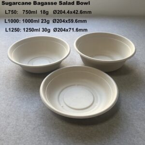 Bagazo de caña de azúcar Cuencos biodegradables con tapa para ensalada
