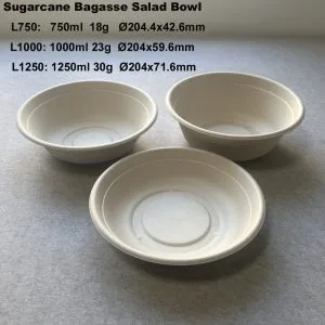 Zuckerrohr-Bagasse-Schale