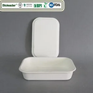 Bagasse Tray