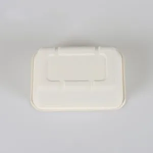 sugarcane pulp trays