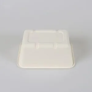 bagasse pulp trays