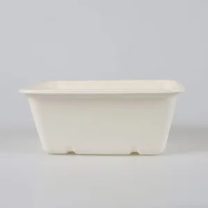 Piatti Rotondi Ecologici 22 Cm In Bagassa Di Canna Da Zucchero, 125 Pezzi, Adatti A Microonde E Congelatore