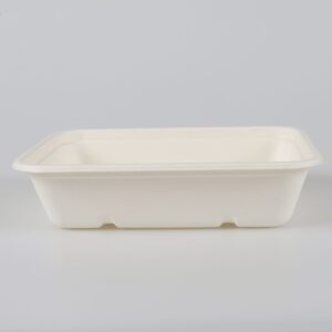 Eco Friendly Trays With Lids