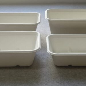 bandeja de bagazo