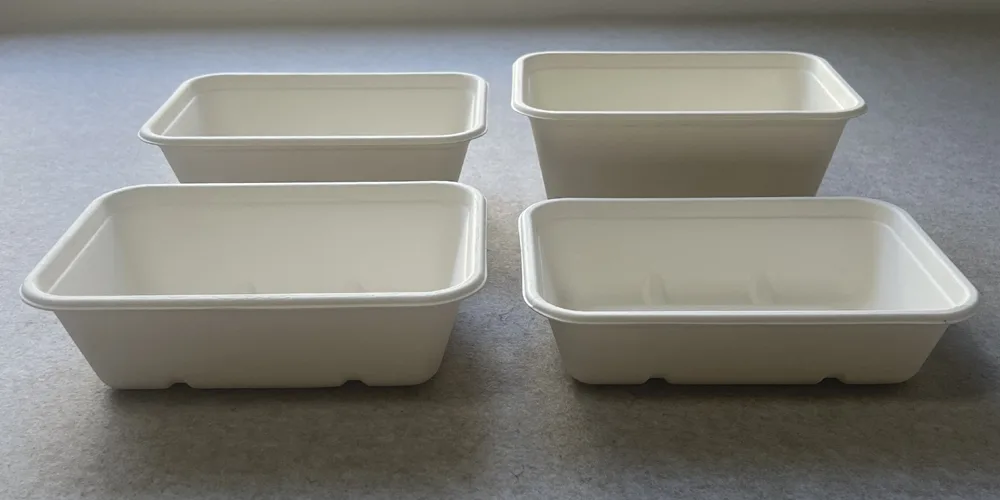 лоток для багассы