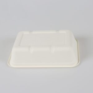 eco friendly trays with lids