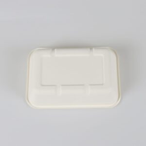 eco friendly trays with lids