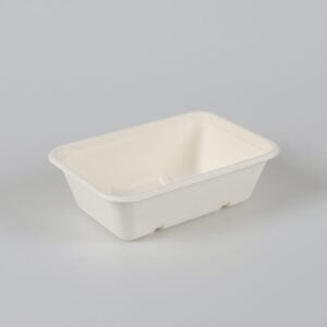 Bagasse-Lebensmittelschalen