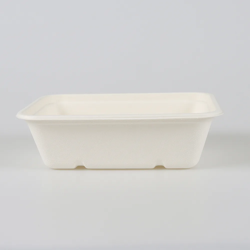 пищевые лотки из багассы