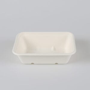 Bagasse-Lebensmittelschalen