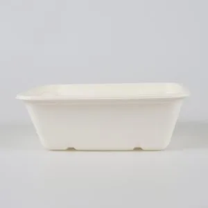 Eco Friendly Trays With Lids