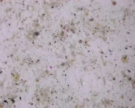 マイクロプラスチック研究のイラスト