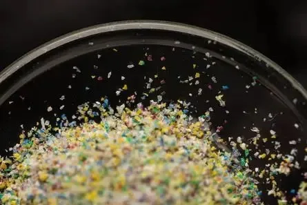 マイクロプラスチックの健康影響研究の概要