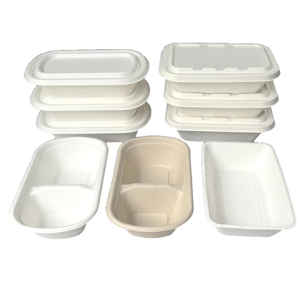 生分解性ランチ容器 蓋付き生分解性食品容器