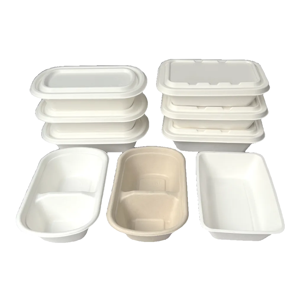 Sugarcane Bagasse Voedselcontainers