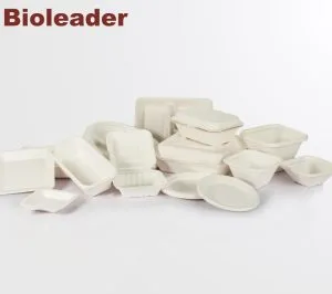 Sugarcane bagasse disposable food containers