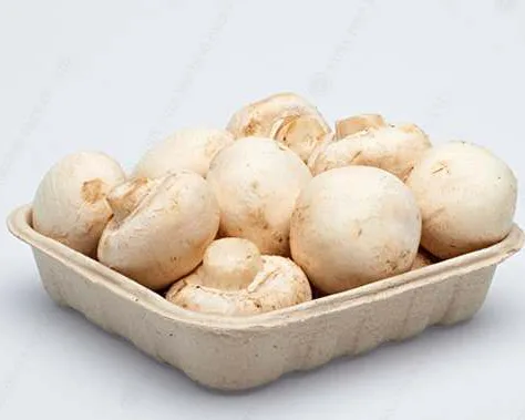 تغليف فطر اللب المصبوب اللب