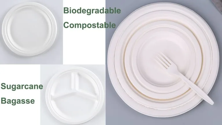 sugarcane bagasse plates