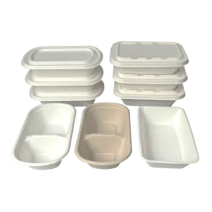 Bagasse Food Container 300x300 1