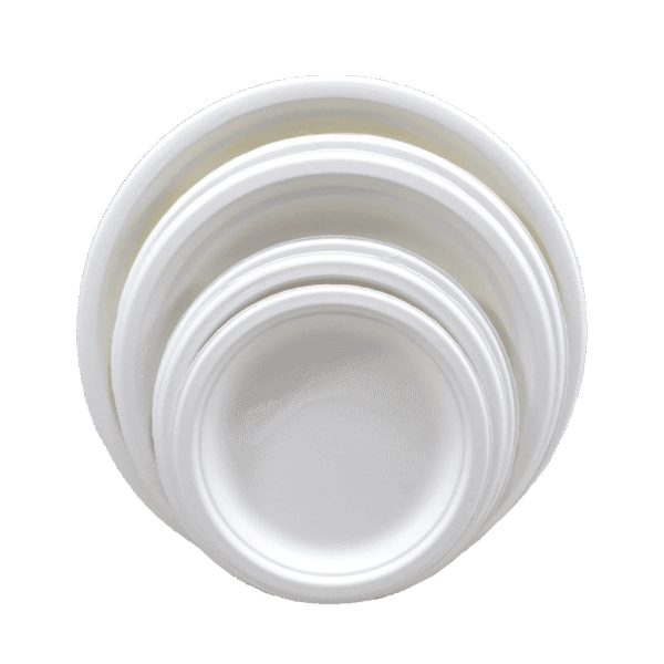 Plaques de bagasse