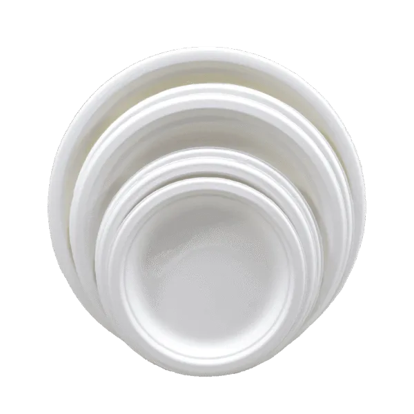 Zuckerrohr-Bagasse Teller