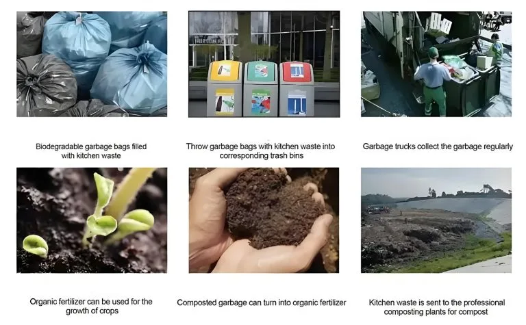 How Long Does Wax Takeout Containers Take to Biodegrade and Decompose?