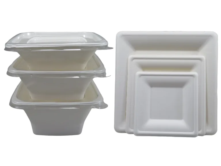 Quadratische Bagasse